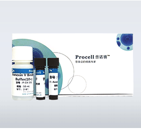 细胞凋亡检测试剂盒
