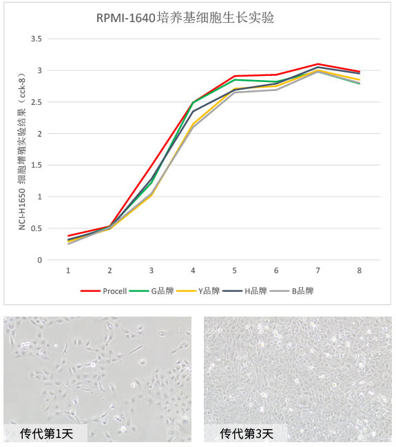 Procell RPMI-1640培养基培养NCI-H1650细胞三天增殖情况