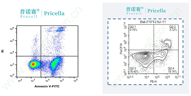 两群细胞间隔较大，分群很明显，1T当2T用