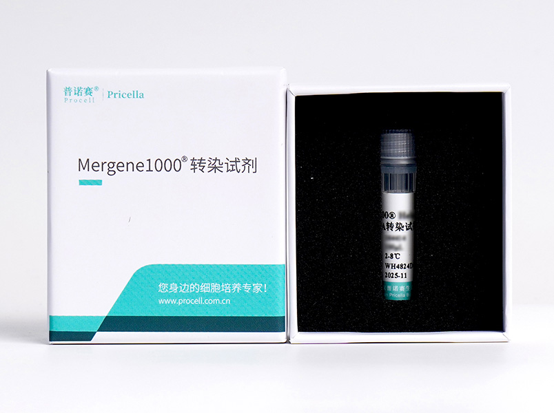 Mergene1000® COS-7细胞专用DNA转染试剂