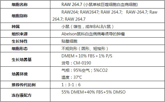 RAW 264.7细胞系详情