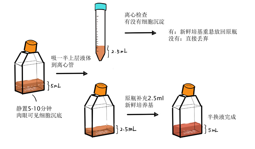 半换液操作示意图