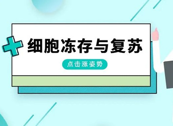 实验指南栏目相关图片