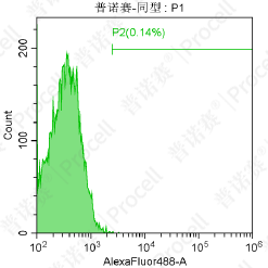 神经干细胞培养纯度