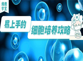 实验指南栏目相关图片