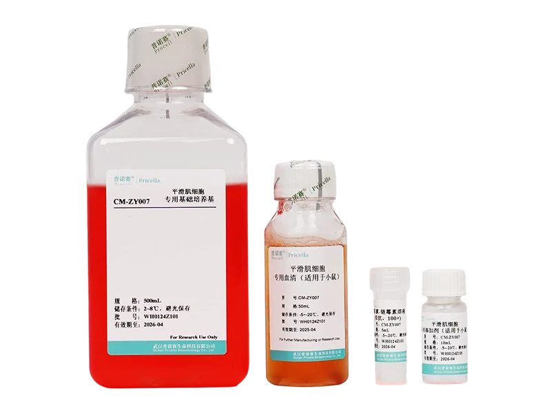 平滑肌细胞完全培养基（适用于小鼠）