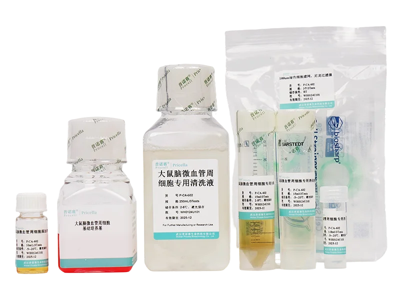 大鼠脑微血管周细胞分离培养试剂盒