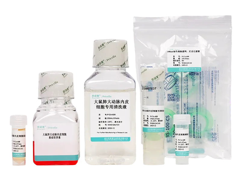 大鼠肺大动脉内皮细胞分离培养试剂盒
