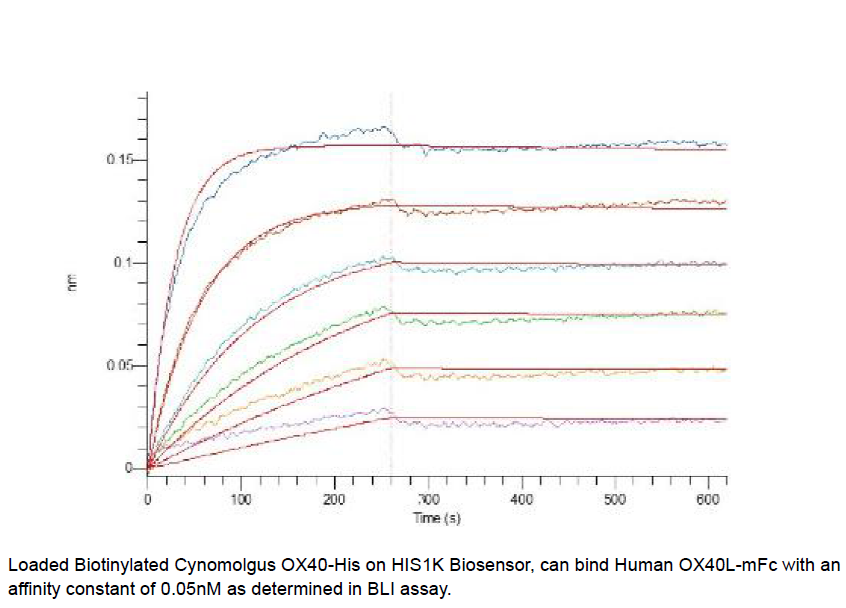 Procell-OX40/ TNFRSF4 (C-6His), Cynomolgus, Recombinant