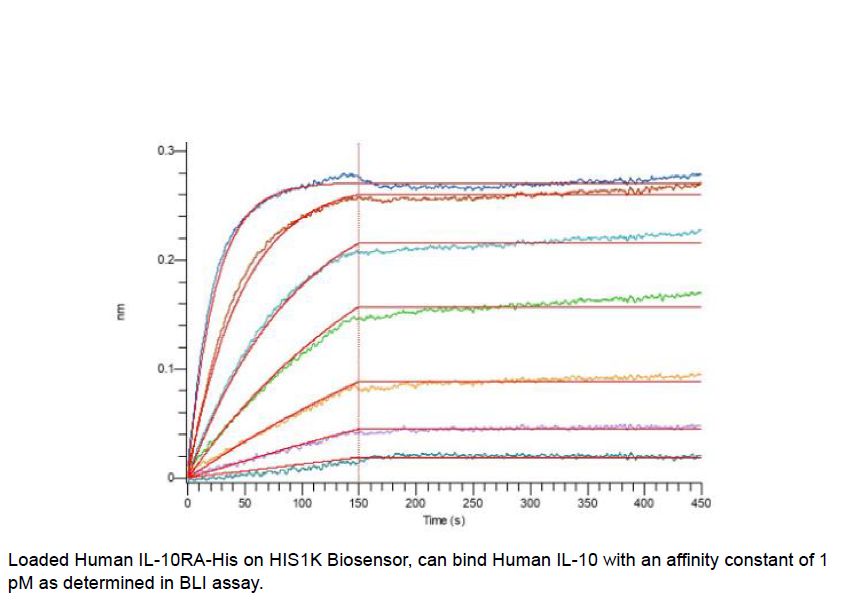 Procell-IL-10/ IL10A, Human, Recombinant